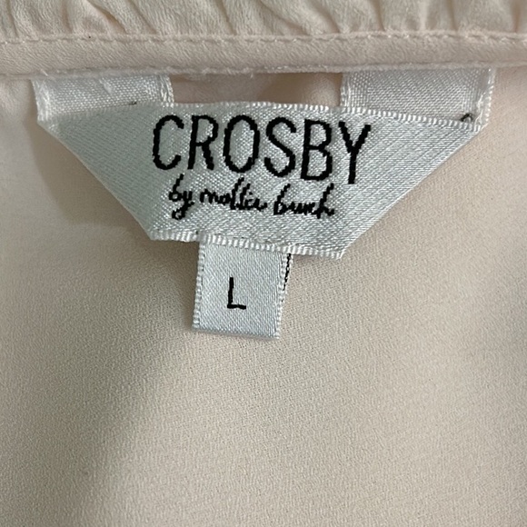 Crosby by Mollie Burch Blush Pink Semi Sheer Ruffle Neck Puff Sleeve Blouse - L - Picture 9 of 11